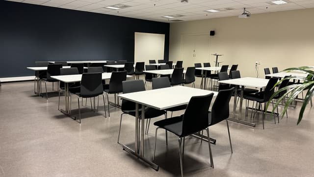 The Auditorium