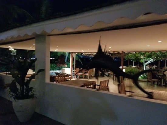 Outdoor Deck