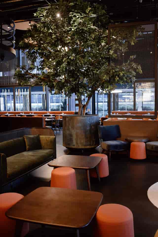 Modern Elysium Lounge with stylish seating and decorative tree for networking events.