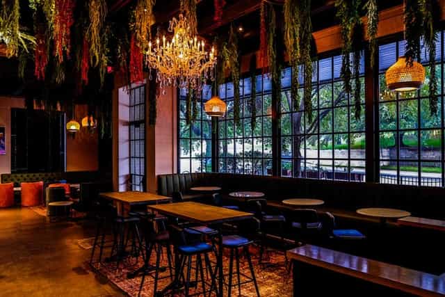 Live music bar with hanging plants, cocktail events, product launch.