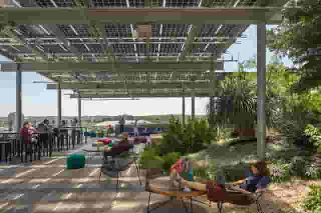 Rooftop garden
