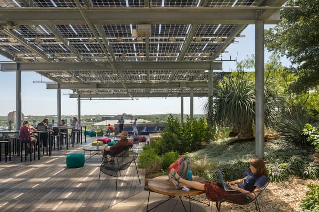 Rooftop garden