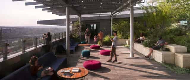 Rooftop garden