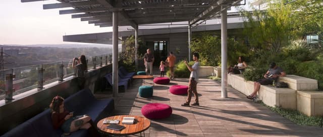 Rooftop garden
