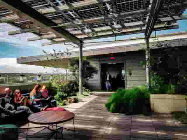 Rooftop garden