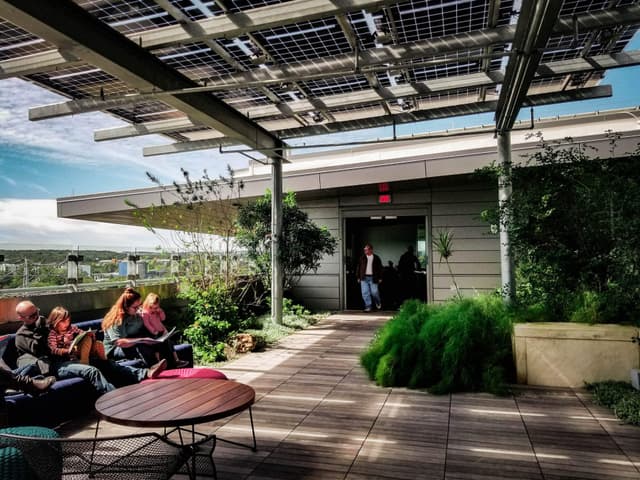 Rooftop garden