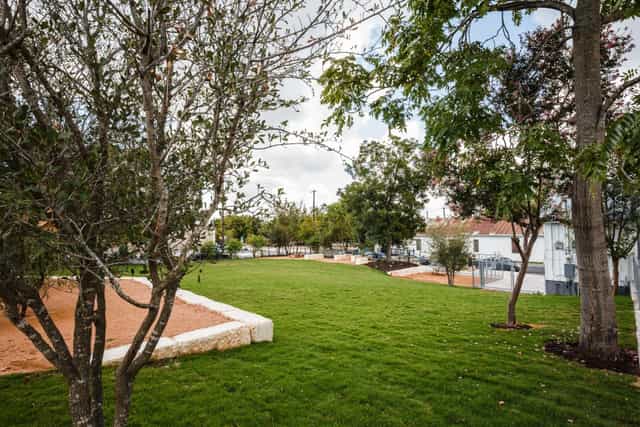 Lawn reception, networking, outdoor ceremony, green space
