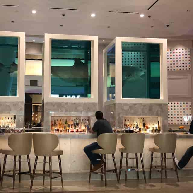 NOVE Palms bar, art, cocktail reception, VIP event
