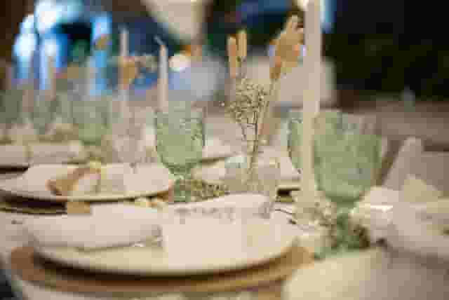 Coconut Palm Room