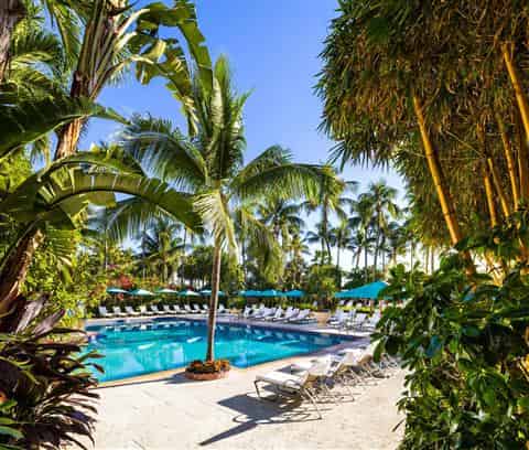 Sabal Palm Room