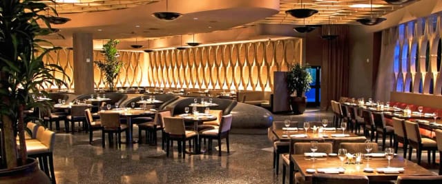 Koi Planet Hollywood In 2025