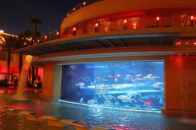 Golden Nugget Las Vegas poolside event, aquarium, Vegas pool party