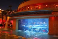 Party Venues