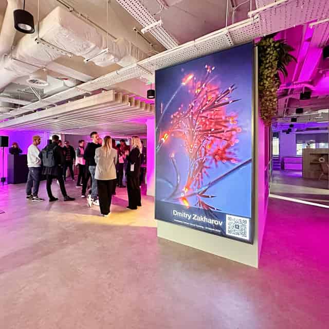 Huckletree Kensington