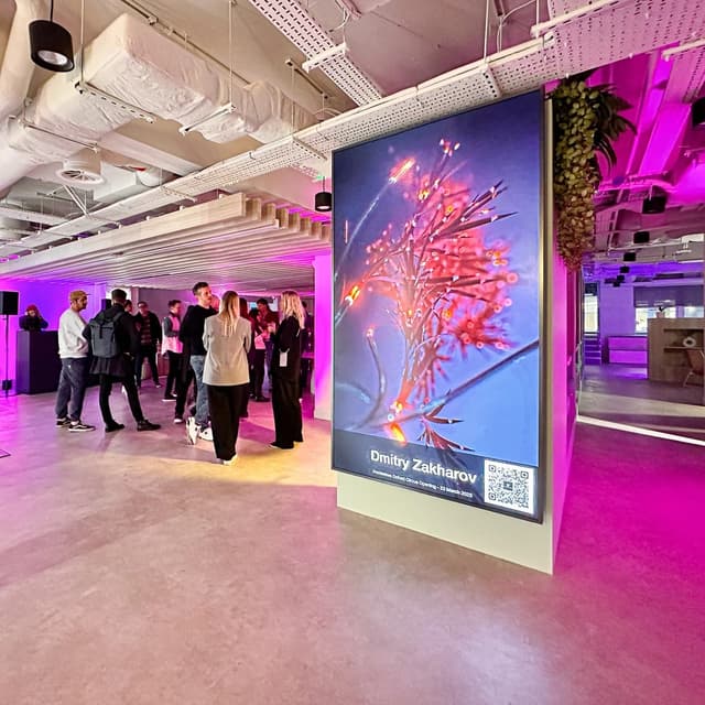 Huckletree Kensington