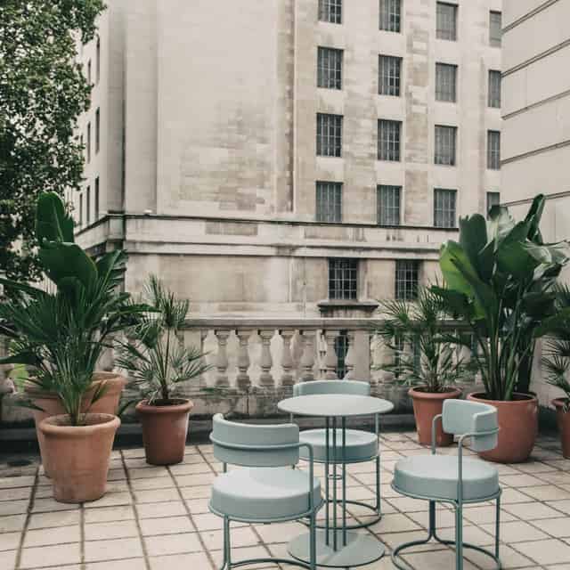 Huckletree Kensington
