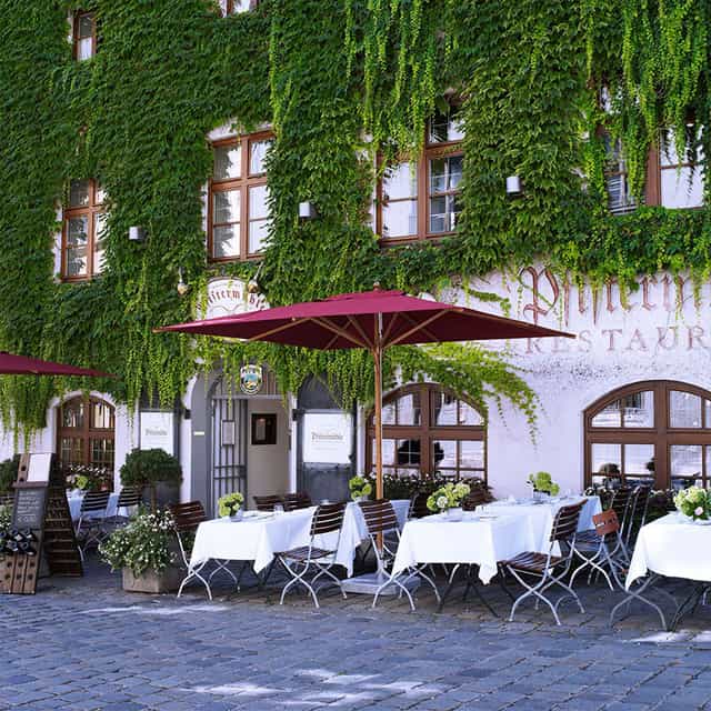 Restaurant Pfistermühle: Ivy terrace, outdoor dining, event venue