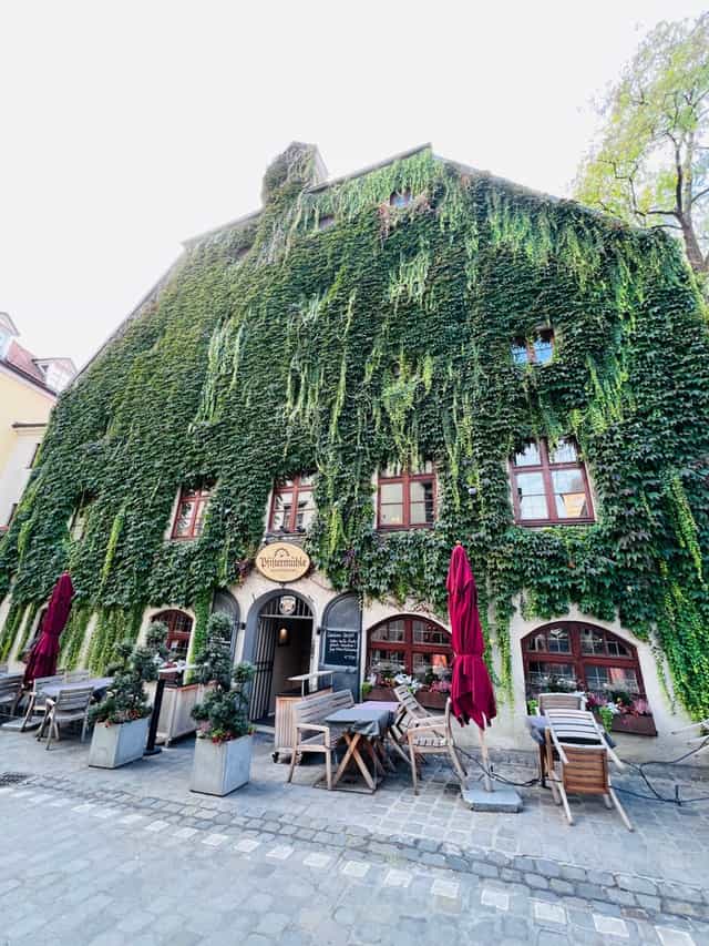 Historic restaurant terrace ivy-covered seating boutique events