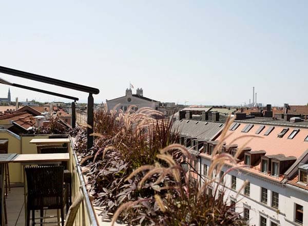 Rooftop terrace