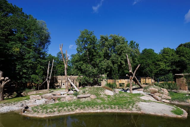Jungle Pavilion