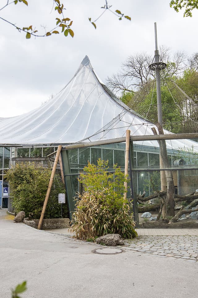 Jungle Pavilion
