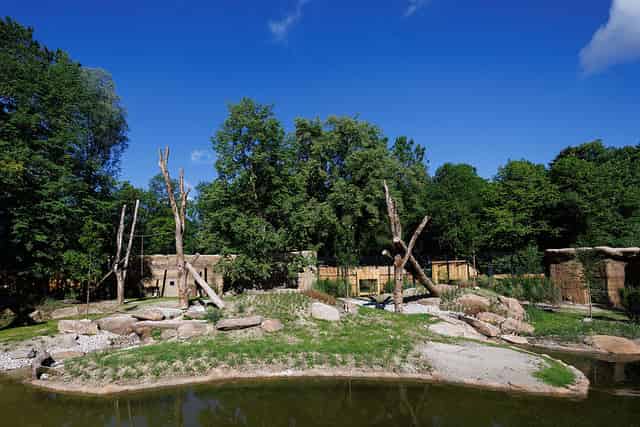 Africa zone