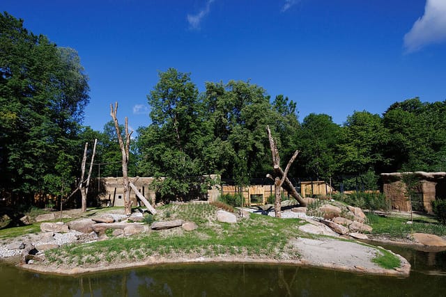 Geozone Afrika - Tierpark Hellabrunn