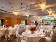 Party Venues