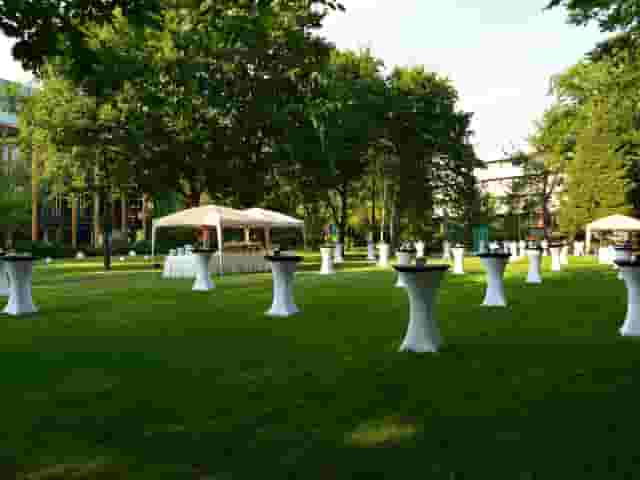 Pine garden