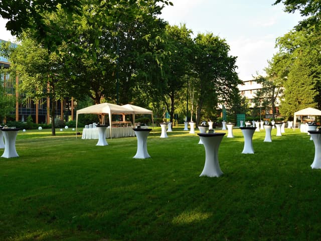 Pine garden