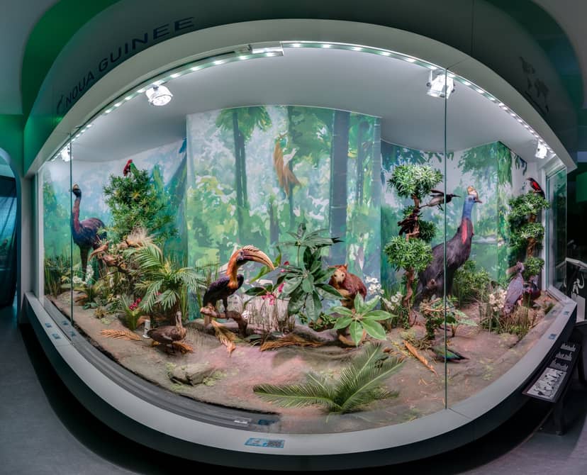Immersive diorama in Antipa Museum workshop room for corporate event or educational installation.