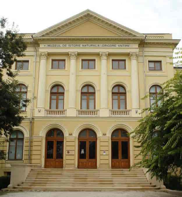 Govt. asks Antipa Museum in Bucharest ...