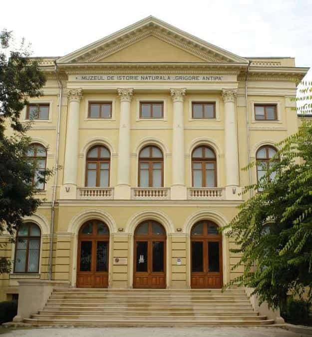 Neoclassical facade of Grigore Antipa Museum for sophisticated gala dinners and evening receptions.
