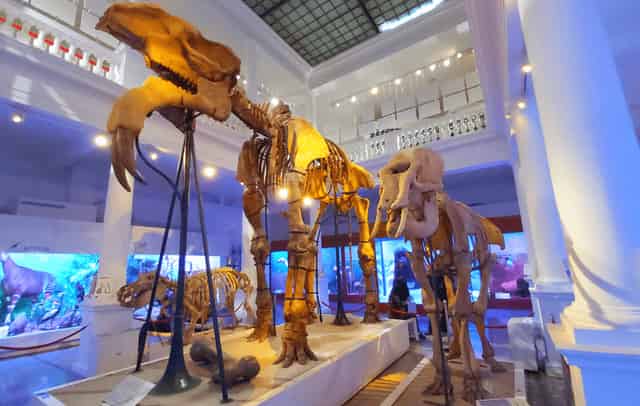 Exhibition Halls