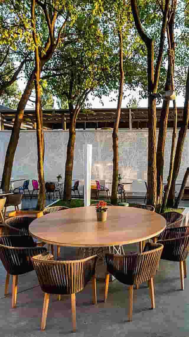 Terrace