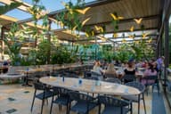 Outdoor Terraces