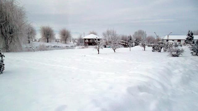 Guest house