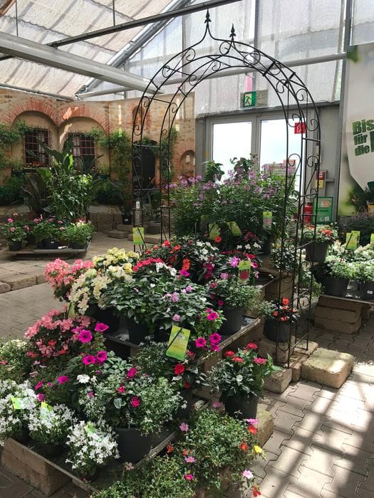 Dehner Garden Center indoor space with lush plants for botanical events and venue rental.