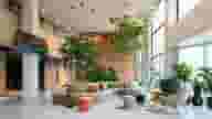 Party Venues
