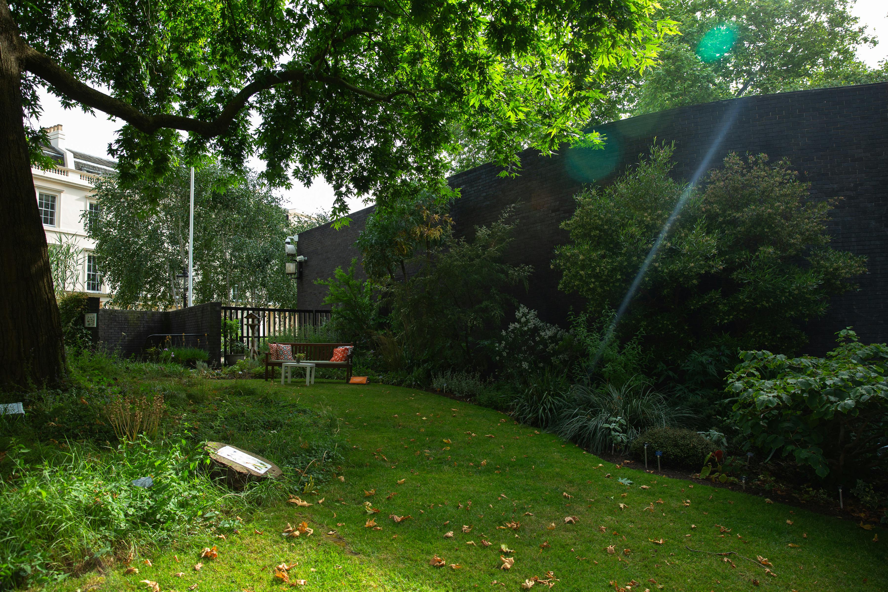 RCP London Events (Royal College of Physicians) - Medicinal Garden image 1