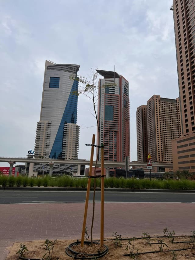 Dubai Internet City