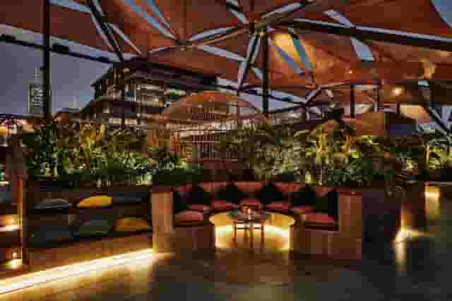 Monkey Bar