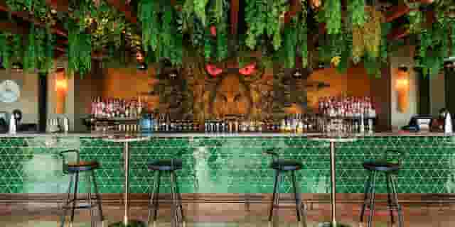 Monkey Bar