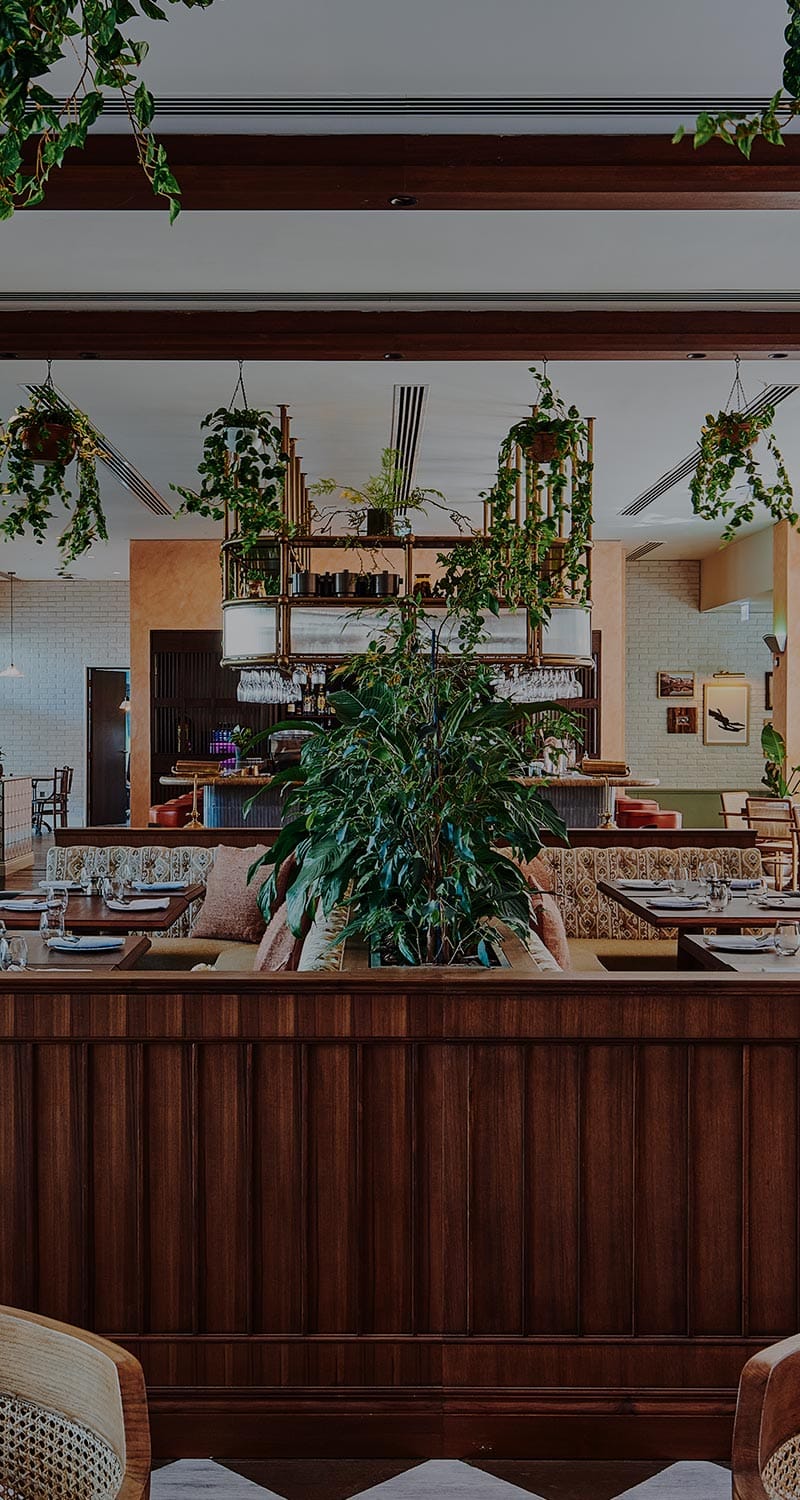 Tandoor Tina biophilic restaurant interior for corporate networking dinners and boutique receptions.