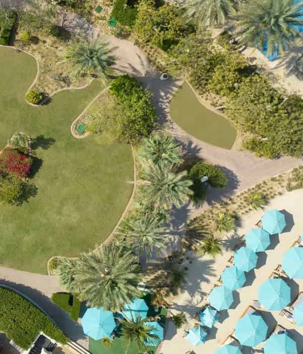 Beachfront Lawn