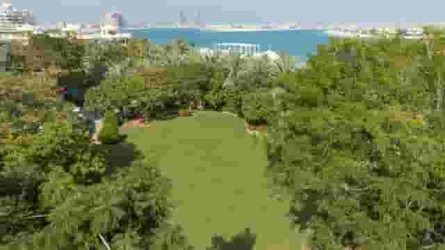 Beachfront Lawn