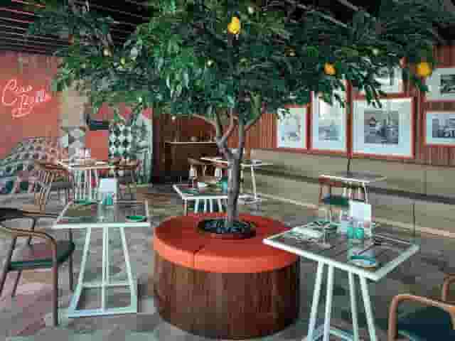 Trattoria by Cinque