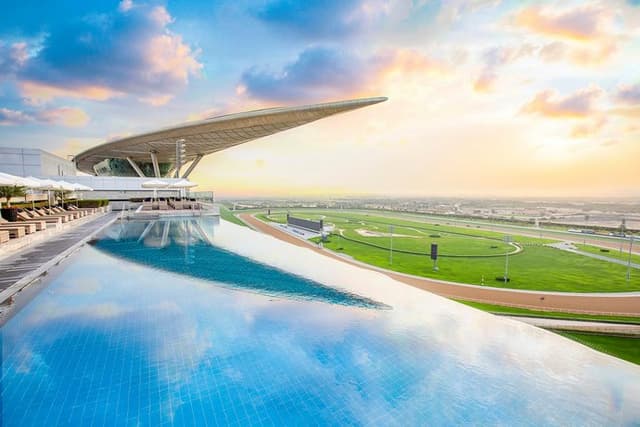 Rooftop Infinity Pool