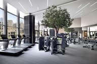Networking Venues