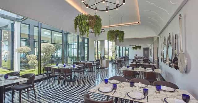 Em Sherif Sea Café: Checkered floor, biophilic design, corporate lunch and networking venue.